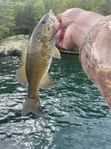 Lake George Fishing Report: 05/15/2022 at 09:49 am - Nate Galimore Fishing - Lake George -