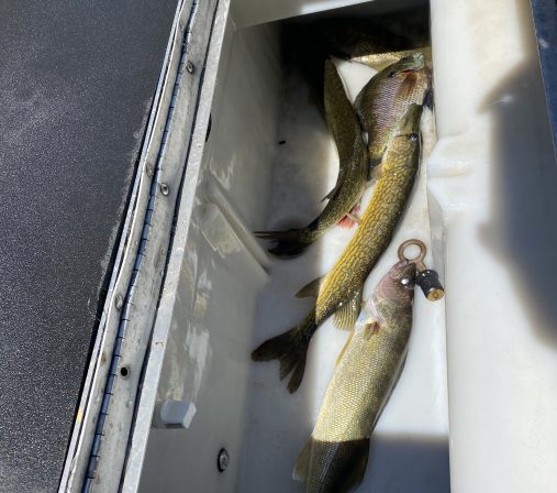 Saratoga Lake Fishing Report: 06/04/2022 at 01:17 pm - Nate Galimore Fishing - Saratoga Lake -
